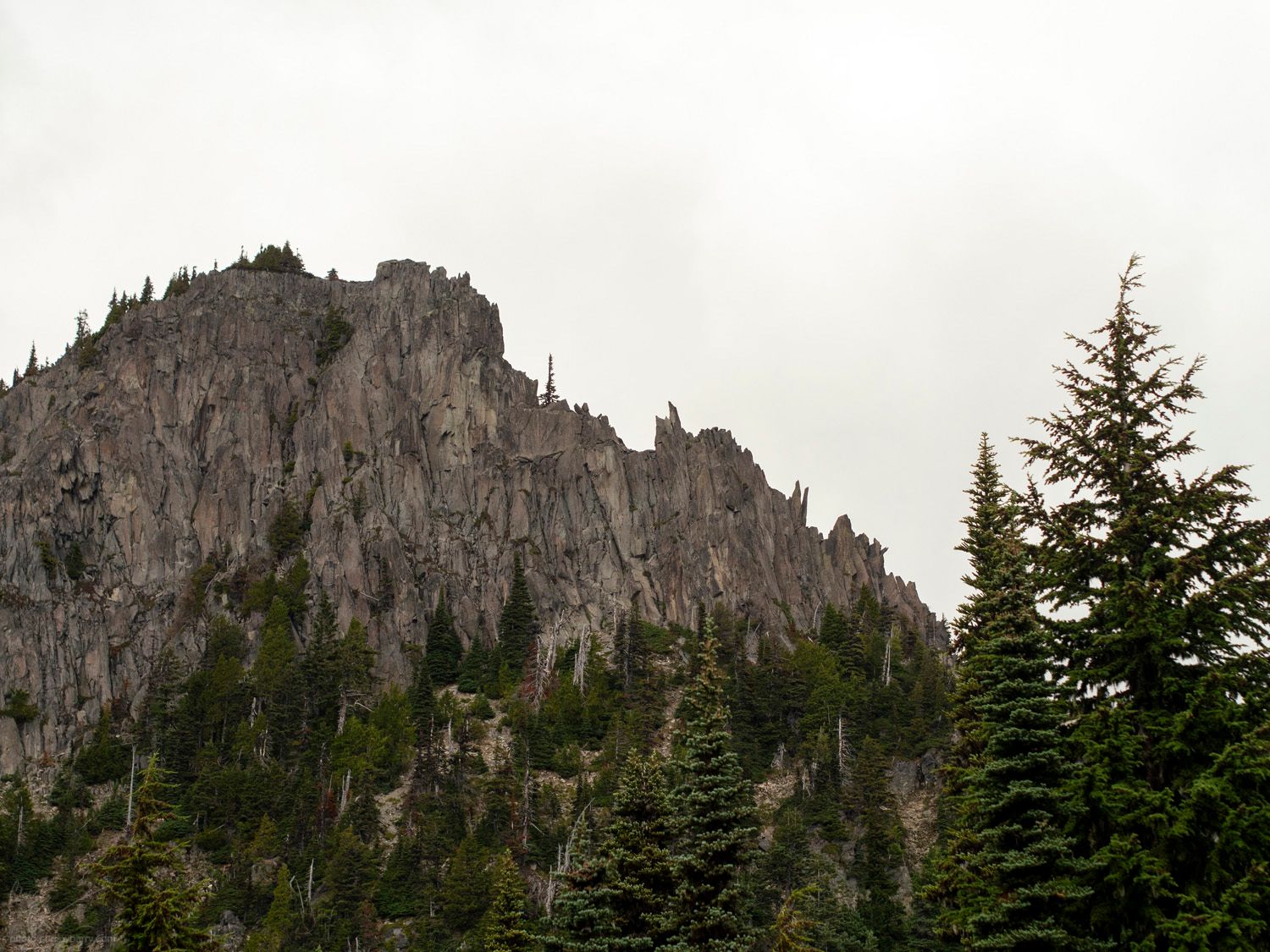 Photograph of a treeless rocky mountain, textured with vertical lines. A couple of pine trees are in the foreground