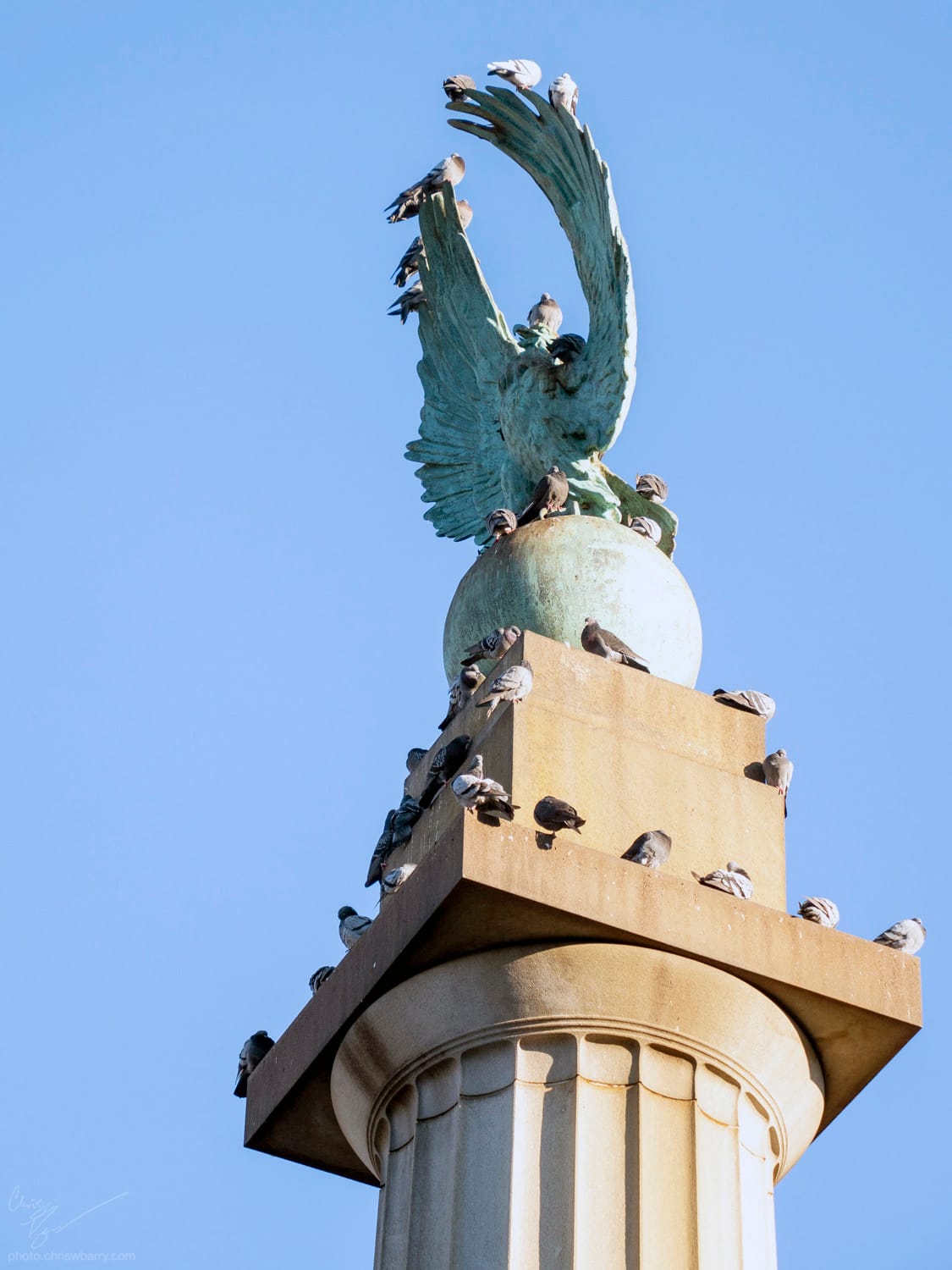 A large number of pigeons resting on top of a pillar with a blue tarnished copper eagle at the top