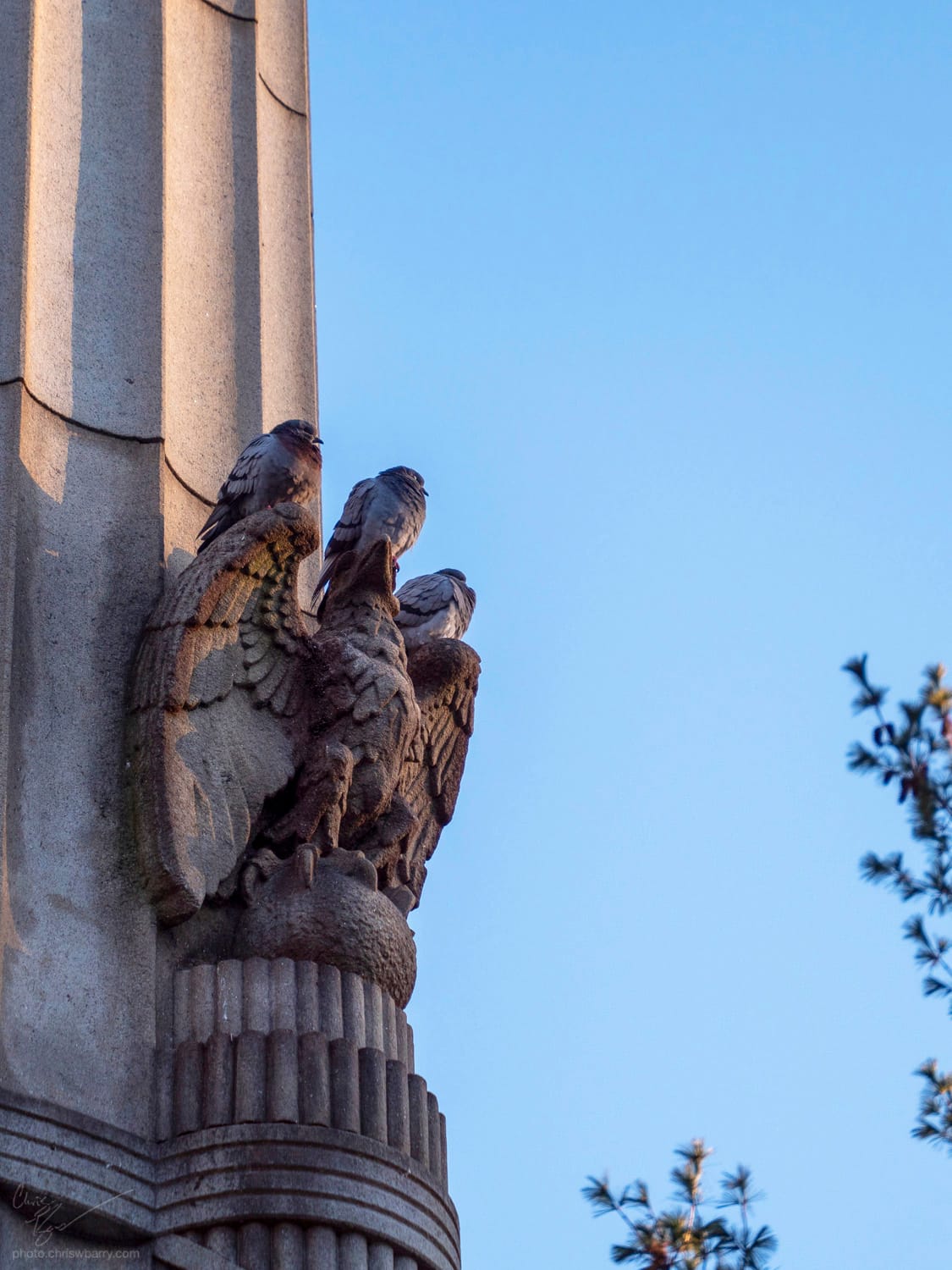 Three pigeons with fluffed feathers resting on top of a sculpture of an eagle